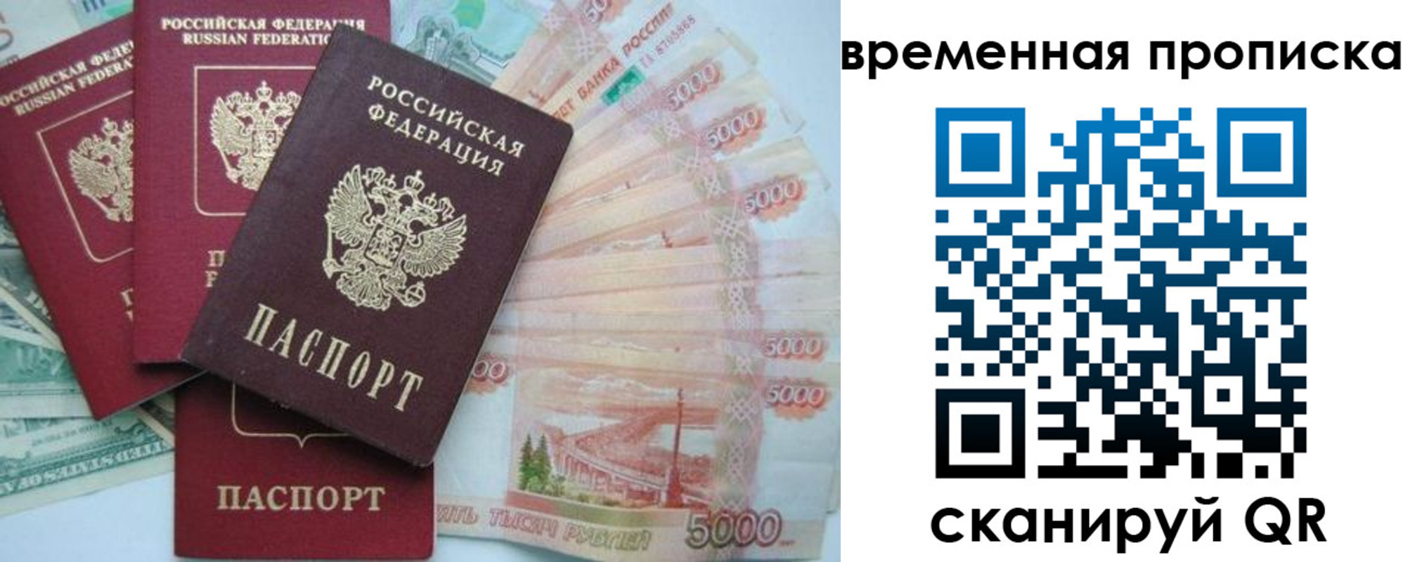 временная регистрация 2025 в Фрязино
