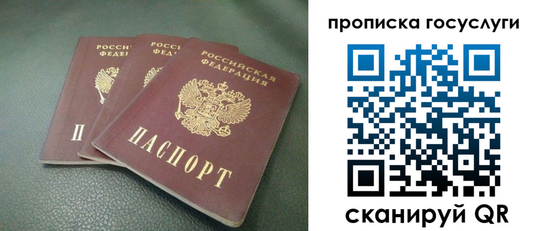 временная регистрация госуслуги в Фрязино